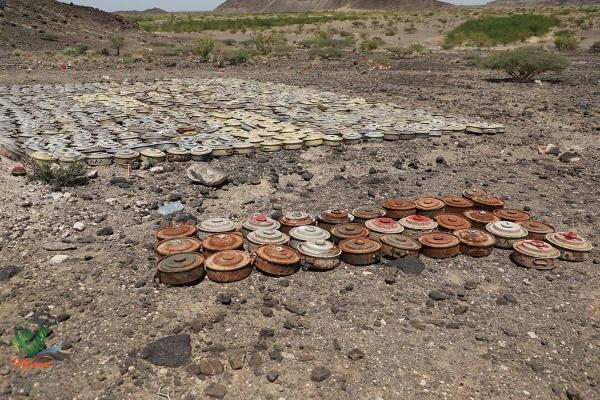 "مسام": نزعنا 2956 لغما حوثياً في أول أسبوع من سبتمبر