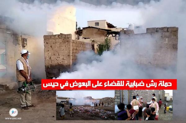 حملة رش ضبابية للقضاء على البعوض في حيس
