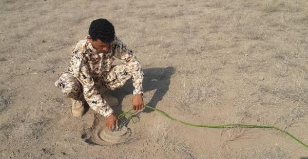 القوات المشتركة تنزع ألغاما من مخلفات مليشيا الحوثي بالزهاري