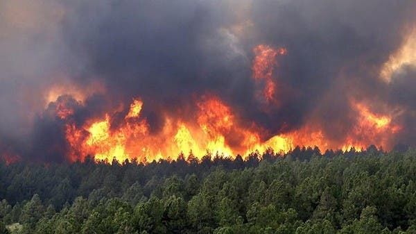 اندلاع حرائق في بومرداس شرقي الجزائر.. حالات اختناق وإجلاء سكان