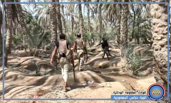المقاومة المشتركة تواصل تمشيط مزارع النخيل جنوب بيت الفقيه - فيديو