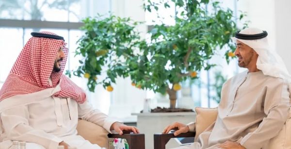الرئيس الإماراتي يستقبل نائب وزير الدفاع السعودي