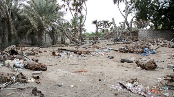 في أقل من ثلاث سنوات.. 570 قذيفة حوثية أصابت مَزارع وجعلتها خالية من الفلاحين 