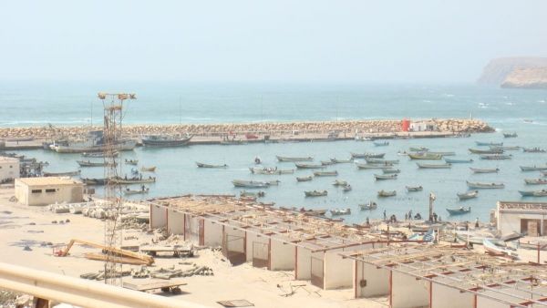 المهرة.. بحث سبل إيقاف الاصطياد السمكي غير المشروع