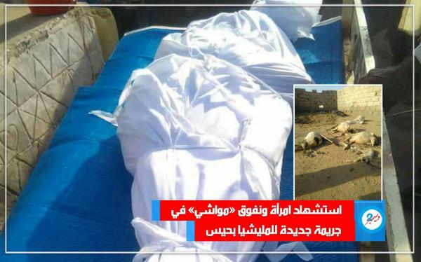 استشهاد امرأة ونفوق مواشٍ في حيس بقصف جديد لميليشيا الحوثي