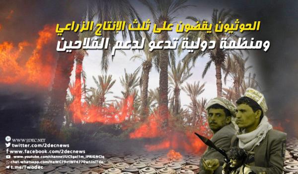 الحوثيون يقضون على ثلث الإنتاج الزراعي.. ومنظمة دولية تدعو لدعم الفلاحين