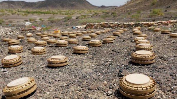 الجوف.. فرق الهندسة تطهر المناطق المحررة بالجوف من الألغام الحوثية