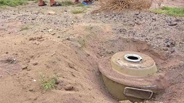 منظمة تحذر من انتشار الألغام الحوثية في مناطق الرعي بحريب مأرب