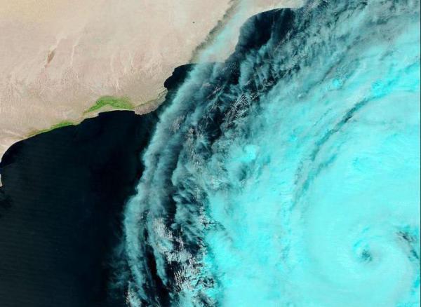 «الأغذية العالمي» يؤكد جاهزيته لأي طارئ في سقطرى بسبب العاصفة المدارية