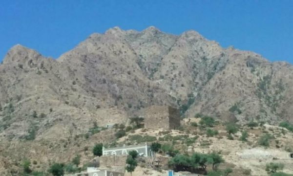 لحج.. قناصة مليشيا الحوثي تستهدف مسنًا أثناء رعيه لأغنامه في القبيطة