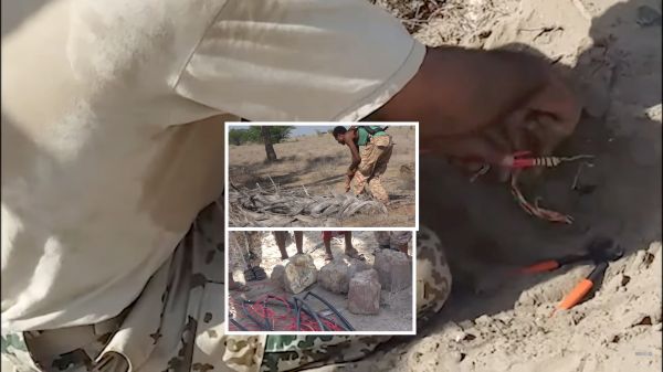فيديو| اكتشاف أخطر شبكات الألغام الحوثية مموهة وسط تجمعات سكانية وبالقرب من حقل ألغام فردية محرمة دوليا جنوب الحديدة