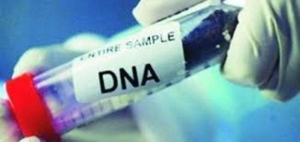 بريطانيا تجري تحليل "دي.إن.إيه" لجميع المواليد