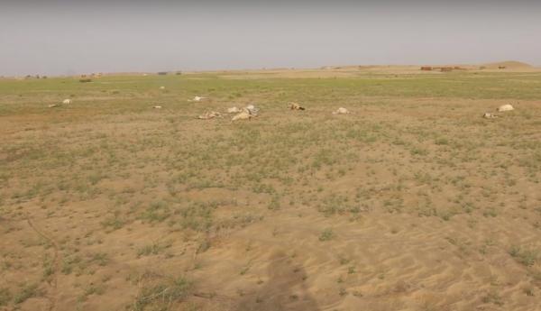 شبكة ألغام تبيد قطيع أغنام بالكامل بين ميدي وحيران حجة