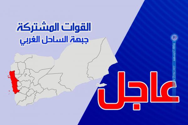 إسقاط طائرتين مسيرتين حاولتا استهداف مدينة المخا