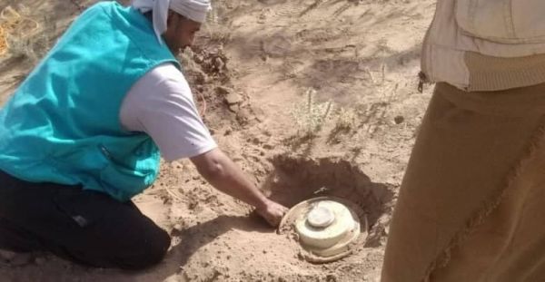 هندسية المشتركة تنزع عشرات الألغام والعبوات الحوثية بمناطق رعوية وزراعية في حيس