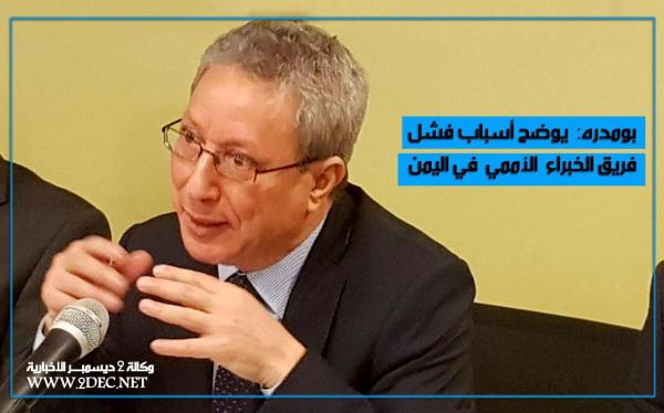 رئيس سابق لبعثة الأمم المتحدة للعراق: فريق الخبراء بشأن اليمن أخفق في مهامه