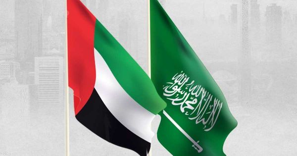 الإمارات والسعودية تؤكدان سعيهما إلى تعزيز التعاون والتكامل