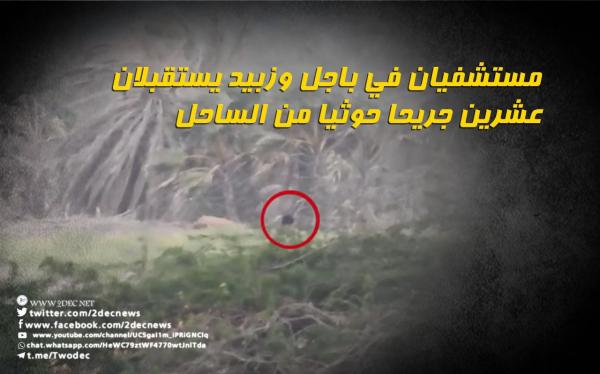 مستشفيان في باجل وزبيد يستقبلان عشرين جريحا حوثيا من الساحل