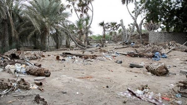 الحوثيون يقصفون مزارع المواطنين في التحيتا