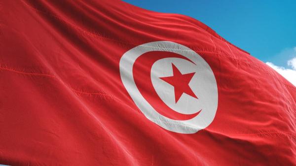 الرئاسة التونسية توضح موقفها من زيارة أردوغان 