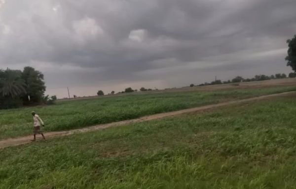ممارسات حوثية تعسفية تستهدف السهل التهامي وتجبر المستثمرين على الهجرة للسودان