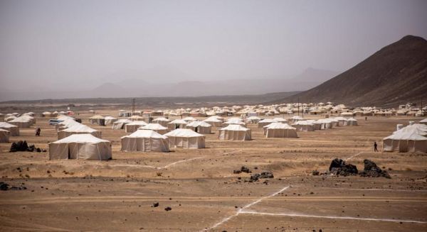 172 الف نازح في اليمن خلال 2020 أغلبهم بسبب العدوان الحوثي 