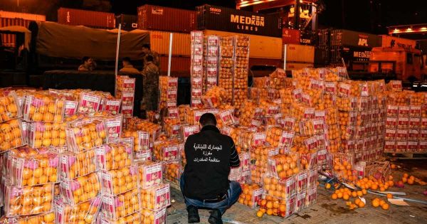 كانت متجهة لبلد خليجي.. لبنان يحبط تهريب مخدرات في شحنة فواكه