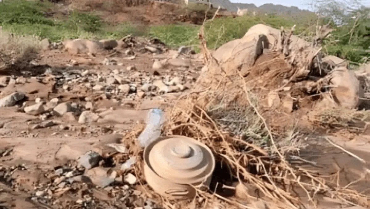 الحديدة.. المليشيا تحول الألغام إلى وسيلة جديدة لابتزاز المزارعين